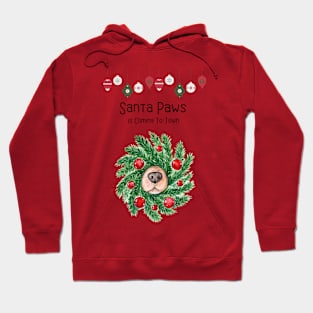 Sniff Sniff - Santa Paws is coming to town! Hoodie